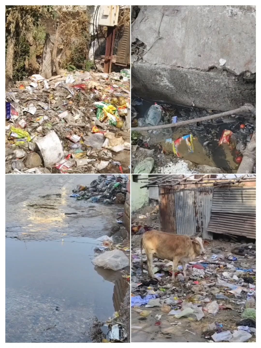 img_20260314_0950022918398305930889978