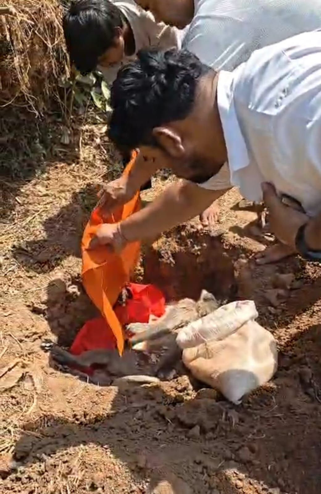 img-20260412-wa00443497144436777704835